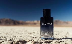 SAUVAGE IMPRESSION Perfume 100ml - Best For Mens - For Gift